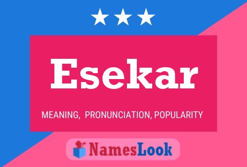 ملصق اسم Esekar