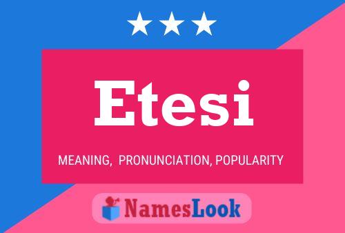 ملصق اسم Etesi