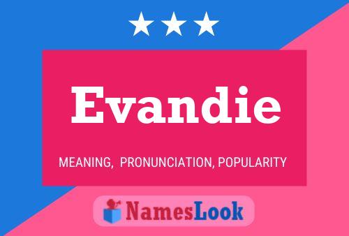 ملصق اسم Evandie