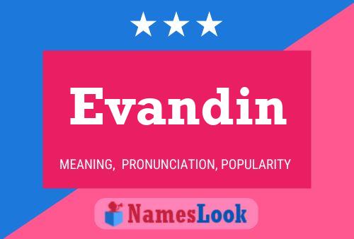 ملصق اسم Evandin