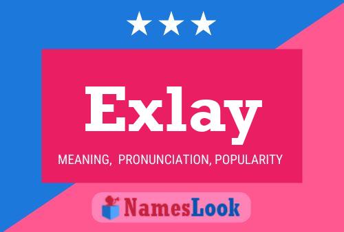 ملصق اسم Exlay