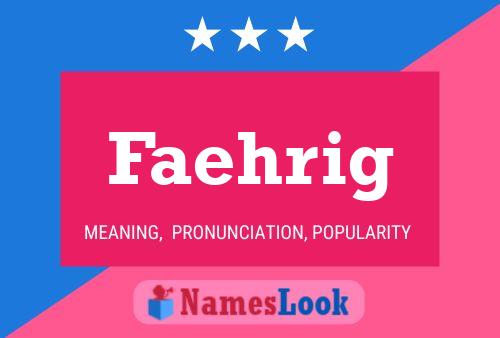 ملصق اسم Faehrig