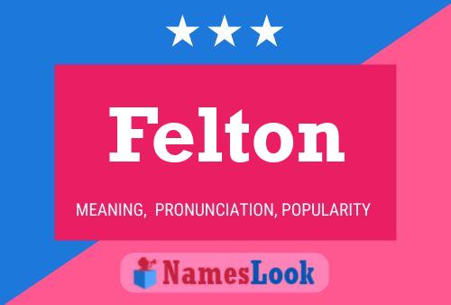 ملصق اسم Felton