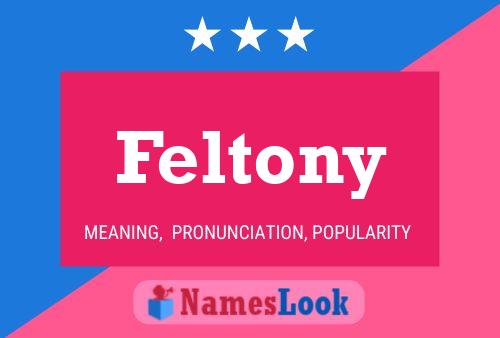 ملصق اسم Feltony