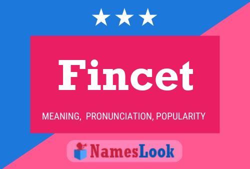 ملصق اسم Fincet