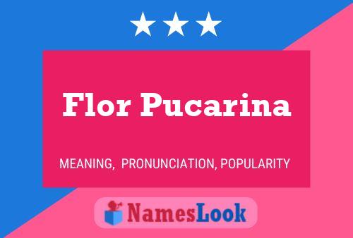 ملصق اسم Flor Pucarina