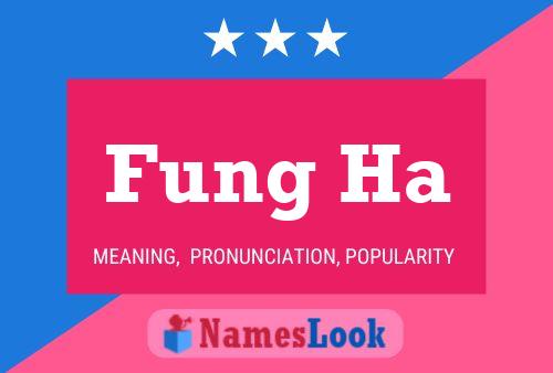 ملصق اسم Fung Ha