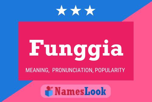 ملصق اسم Funggia