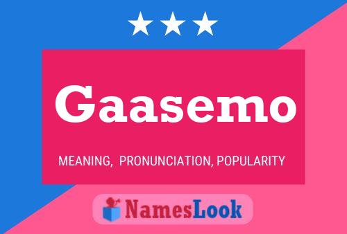 ملصق اسم Gaasemo