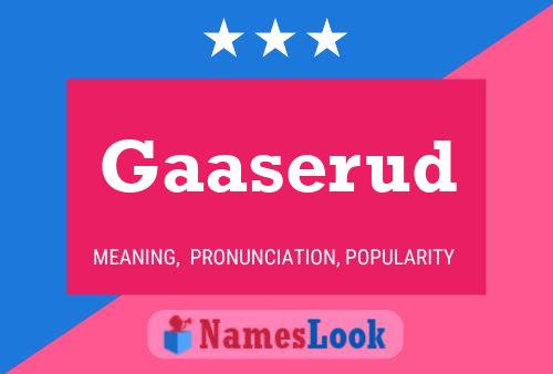 ملصق اسم Gaaserud