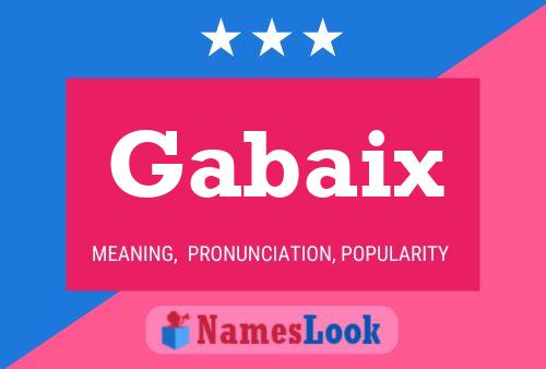 ملصق اسم Gabaix