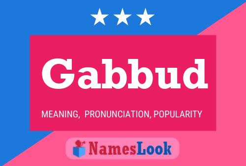 ملصق اسم Gabbud