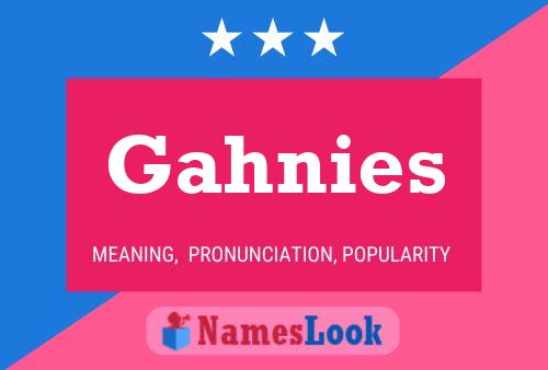 ملصق اسم Gahnies