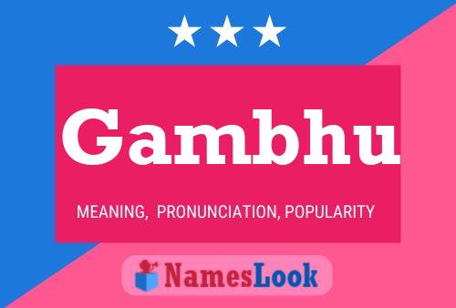 ملصق اسم Gambhu