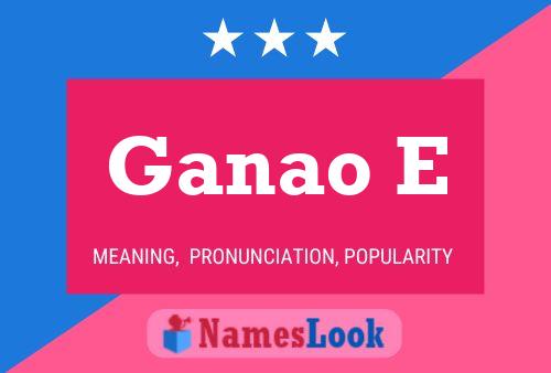 ملصق اسم Ganao E