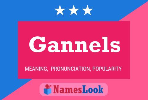 ملصق اسم Gannels