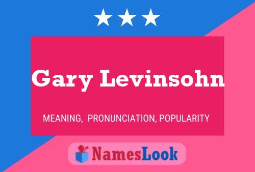 ملصق اسم Gary Levinsohn