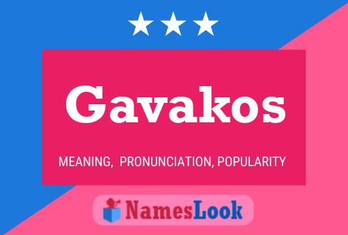 ملصق اسم Gavakos