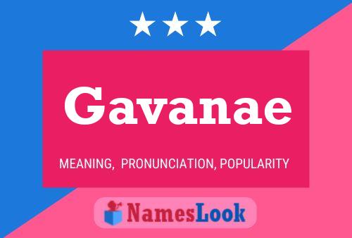 ملصق اسم Gavanae