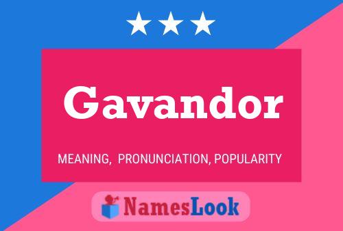 ملصق اسم Gavandor