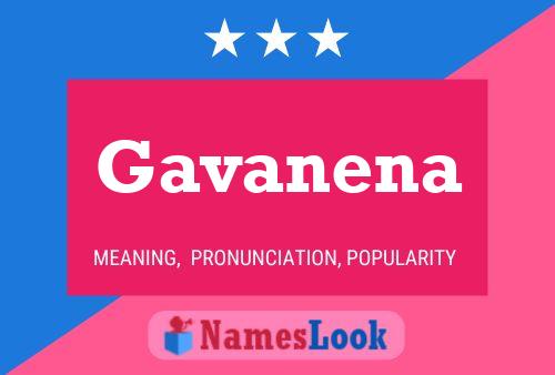 ملصق اسم Gavanena