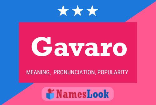 ملصق اسم Gavaro