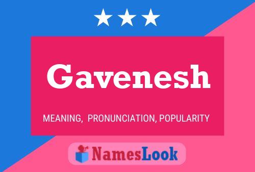 ملصق اسم Gavenesh