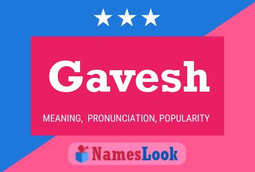 ملصق اسم Gavesh