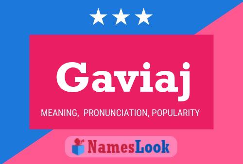 ملصق اسم Gaviaj