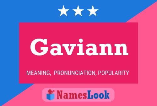 ملصق اسم Gaviann