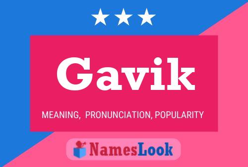 ملصق اسم Gavik