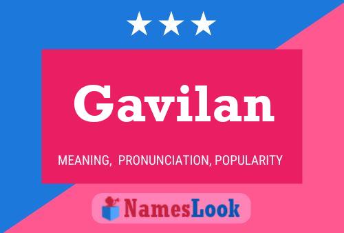 ملصق اسم Gavilan