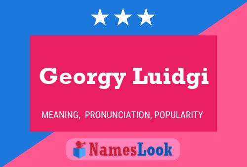 ملصق اسم Georgy Luidgi