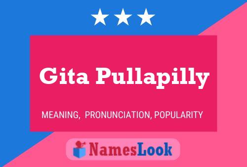 ملصق اسم Gita Pullapilly