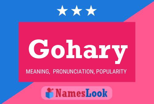 ملصق اسم Gohary