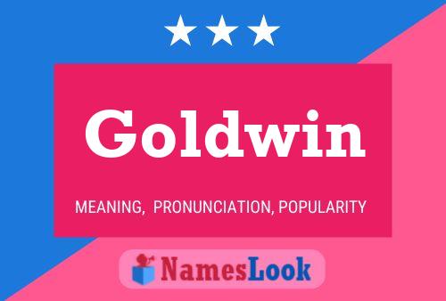 ملصق اسم Goldwin