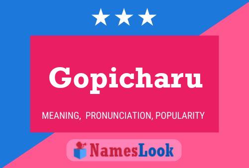 ملصق اسم Gopicharu