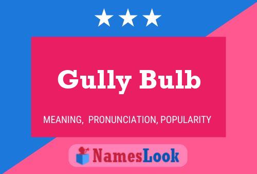 ملصق اسم Gully Bulb