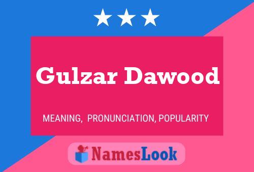 ملصق اسم Gulzar Dawood