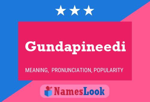 ملصق اسم Gundapineedi