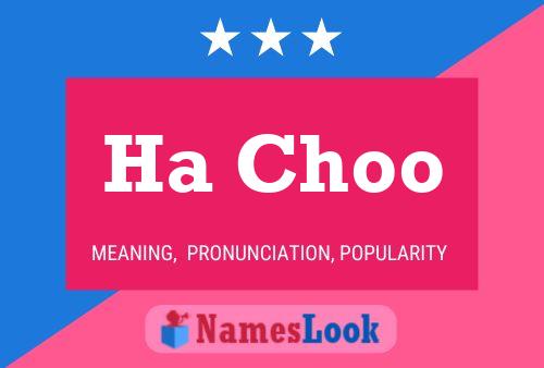 ملصق اسم Ha Choo