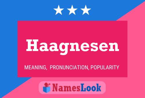 ملصق اسم Haagnesen