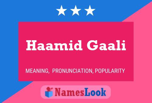 ملصق اسم Haamid Gaali