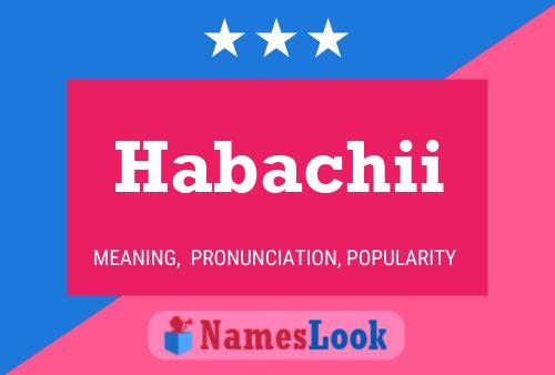 ملصق اسم Habachii