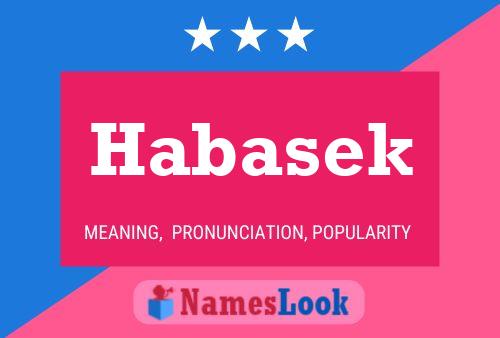 ملصق اسم Habasek