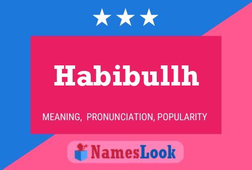 ملصق اسم Habibullh