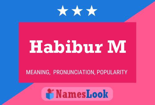 ملصق اسم Habibur M