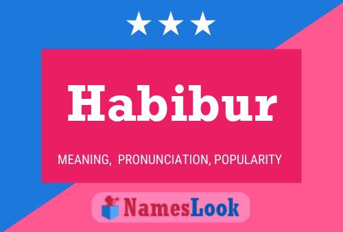 ملصق اسم Habibur