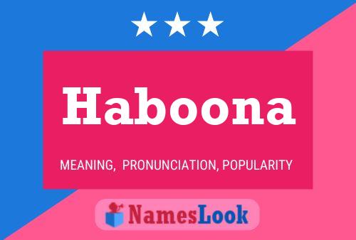 ملصق اسم Haboona