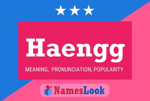 ملصق اسم Haengg